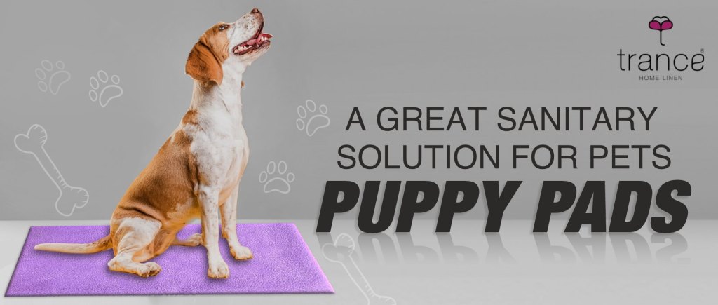 Know about the sanitary solution for pets puppy pads